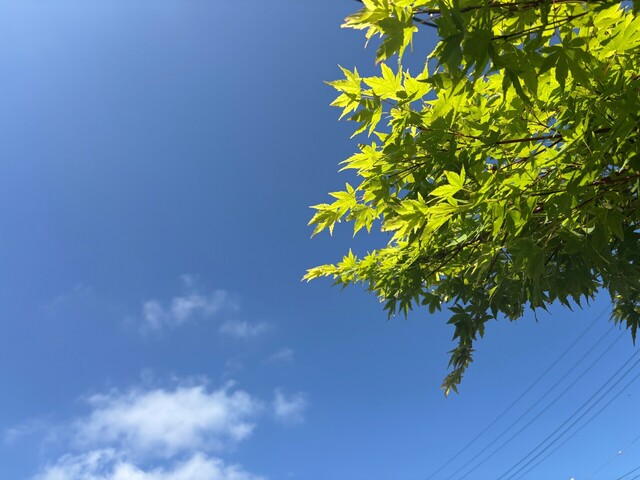 空.jpg